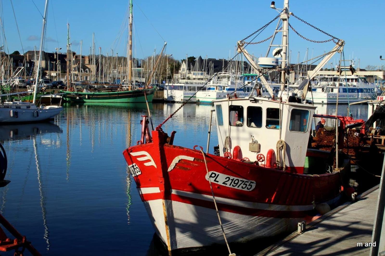 Gite Paimpol Le Loarwenn المظهر الخارجي الصورة